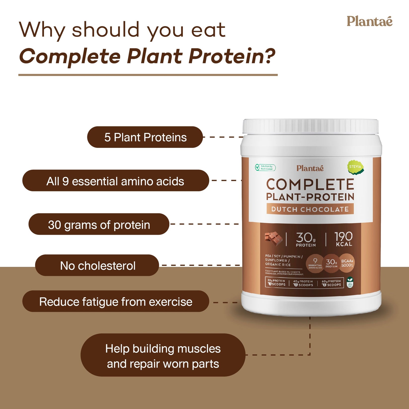 Plantae Complete Plant Protein Dutch Chocolate Travel Pack 8 Sachets Plantaelife