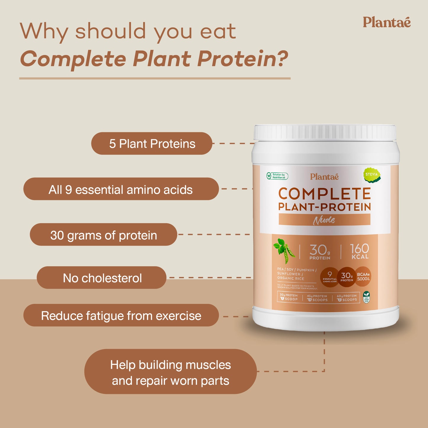 Plantae Complete Plant Protein