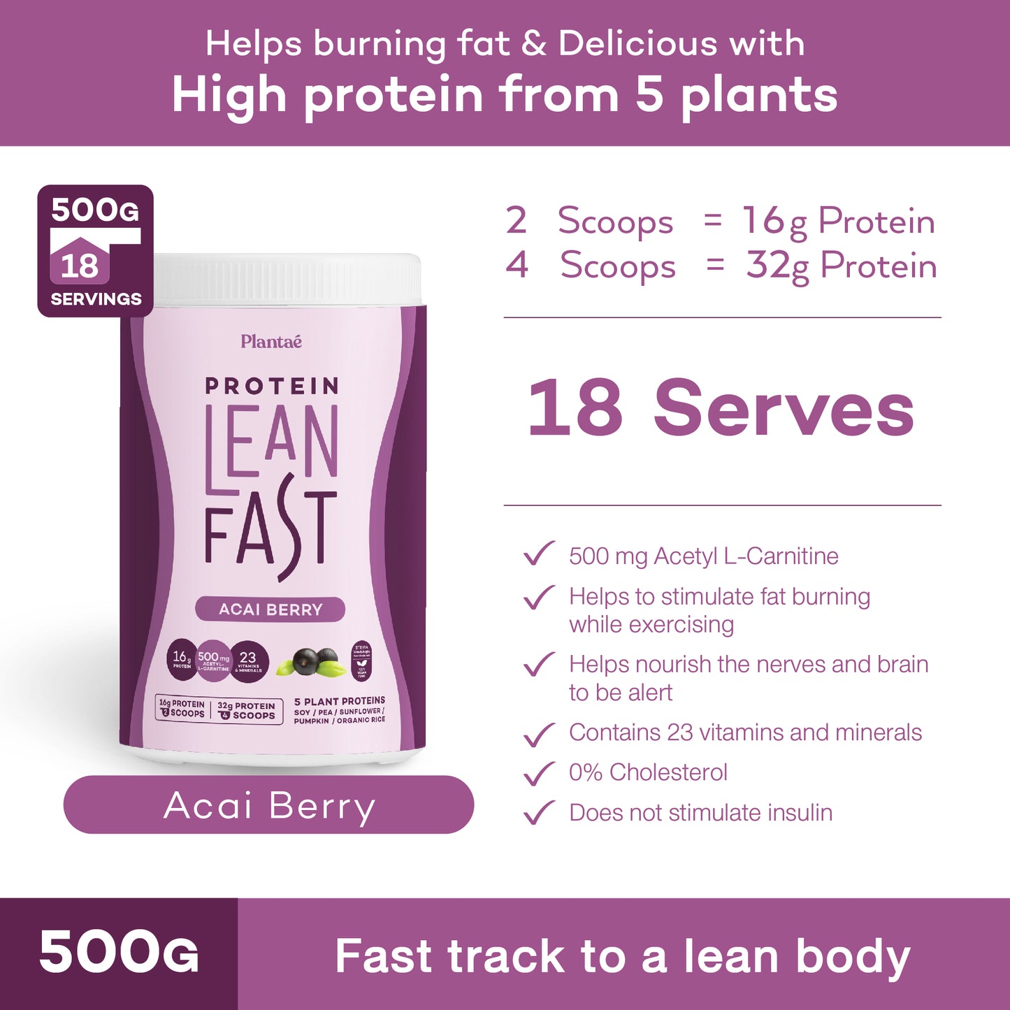 Plantae Lean Fast Fat Burning Protein Powder 500G