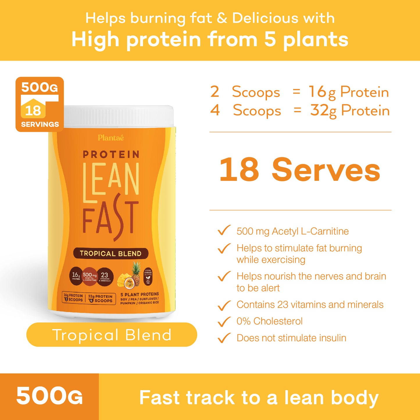 Plantae Lean Fast Fat Burning Protein Powder 500G