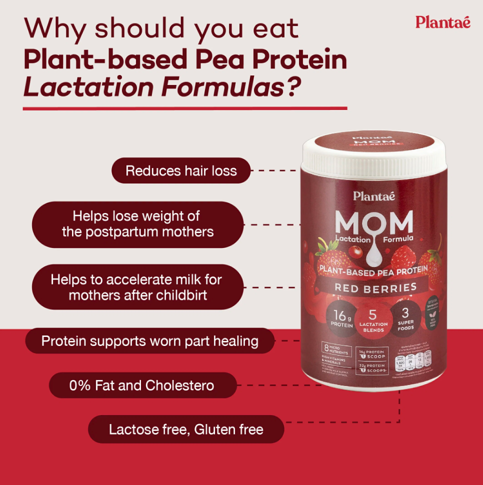 Plantae Lactation Blend Pea Protein 500g: Red Berry